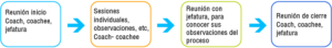 diagrama_coaching ejecutivo metahumano