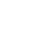 icono_metahumano_coaching_ejecutivo