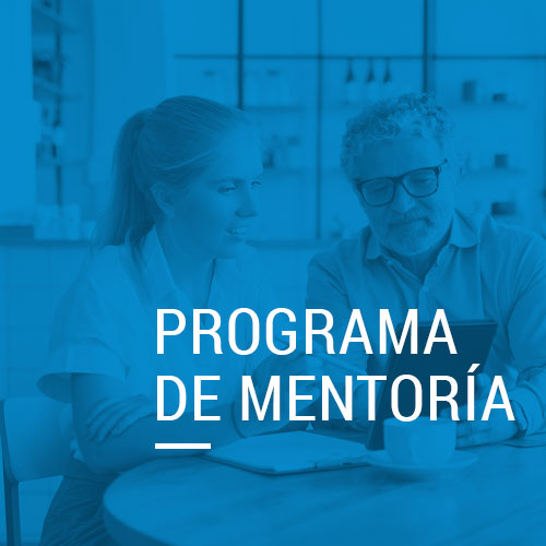 detalle_programa_metoria2_metahumano