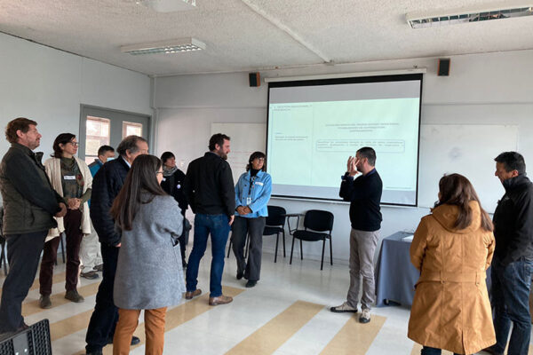 metahumano taller 2 preparación evaluación pares