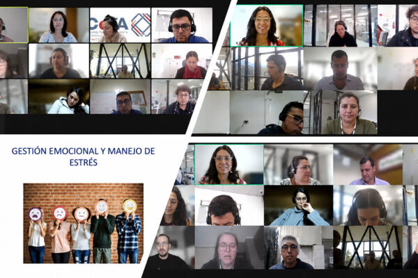 programa-gestion-emocional-metahumano-consultores02