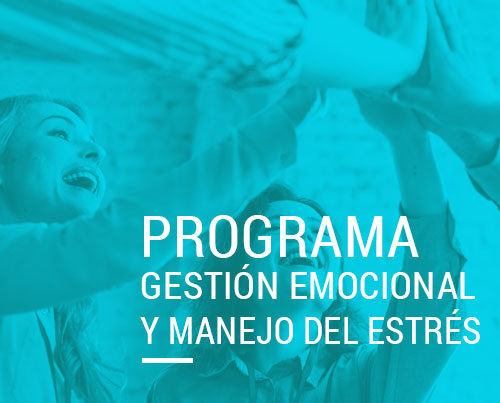 detalle_programas-gestion-emocional-metahumano-consultores