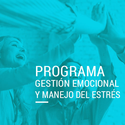 detalle_programas-gestion-emocional-metahumano-consultores